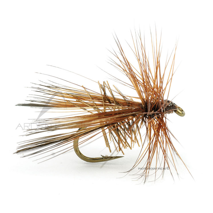 Mouche DEVAUX Sedge prof K