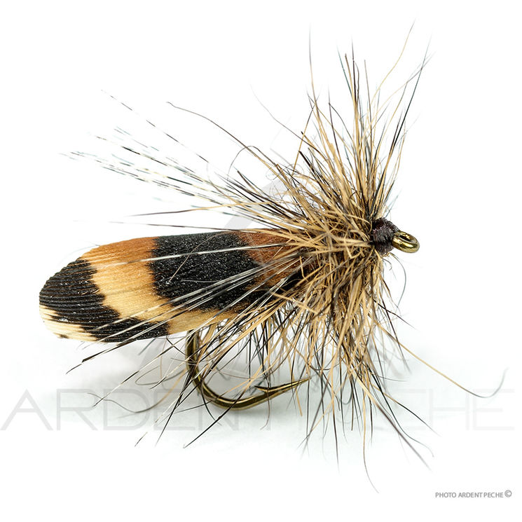 Mouche Florian Stéphan Drag sedge