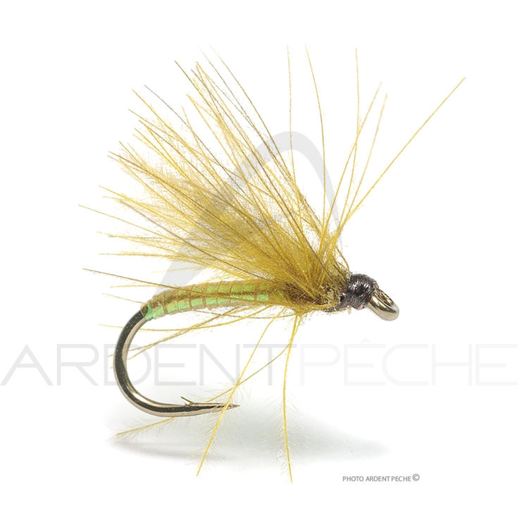 Mouche Florian Stéphan C1 olive