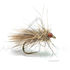 Mouche Florian Stéphan Drag CDC