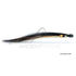 Mouche FMF Saumon Laerdal SR Shad original 2856