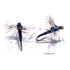 Mouche Igor et Nadica Stancev Midge Black