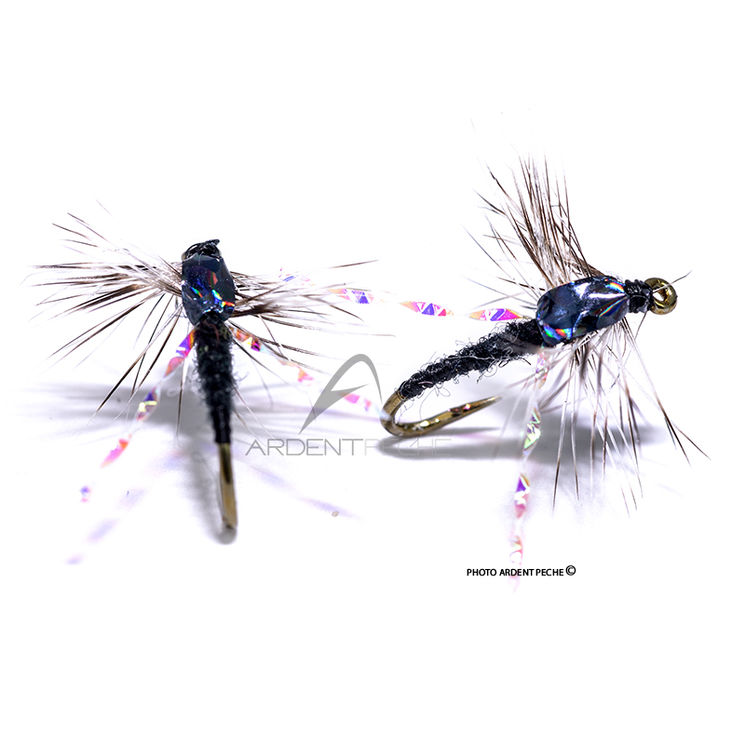 Mouche Igor et Nadica Stancev Midge Black