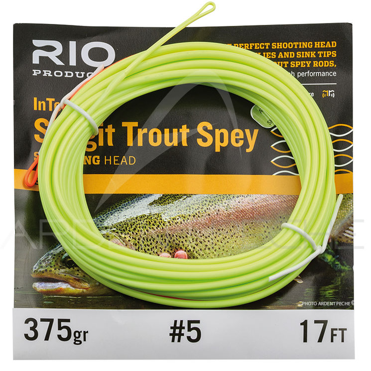 Soie RIO InTouch Trout spey Skagit shooting head