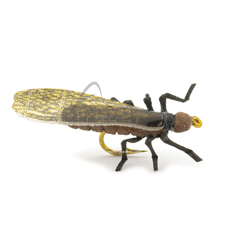 Mouche réaliste Stonefly dry II little black