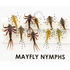 Mouche réaliste nymphes mouche de mai assortiment