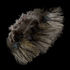 Plumes Pardo Florian Stephan grade 1 Oscuro