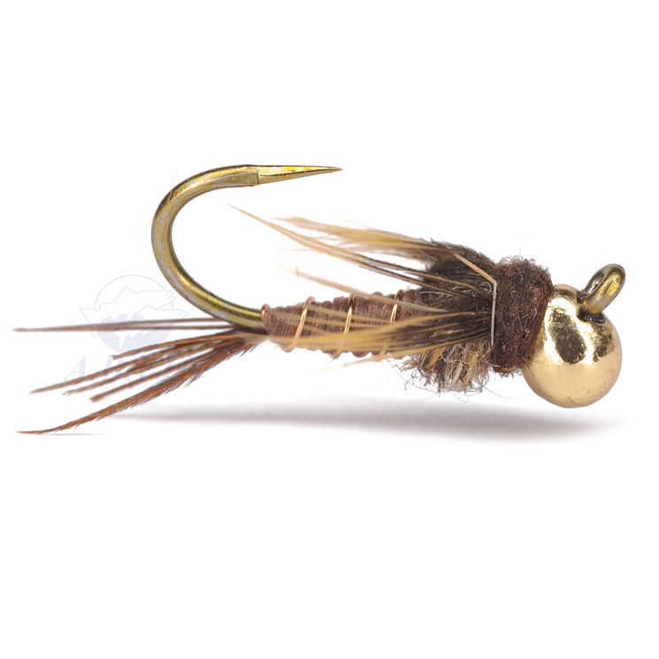 Mouche AB FLY nymphe PERDI L1 OR M