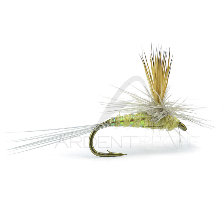 Mouche RIO parachute Wulff PMD