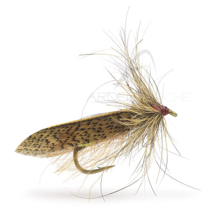 Mouche Igor et Nadica Stancev sedge brown partridge