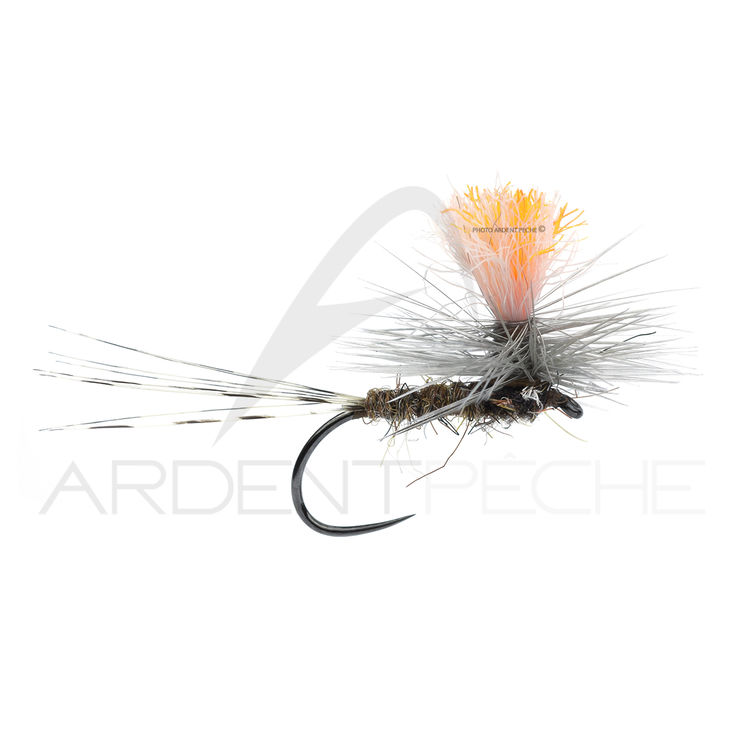 Mouche A.P. Parachute