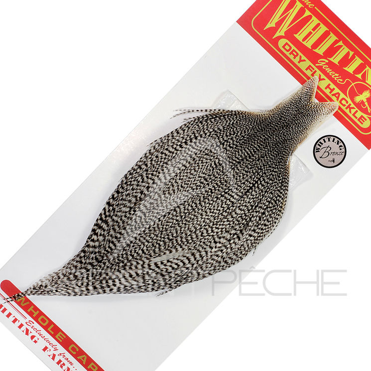 Cous de coq WHITING bronze grizzly