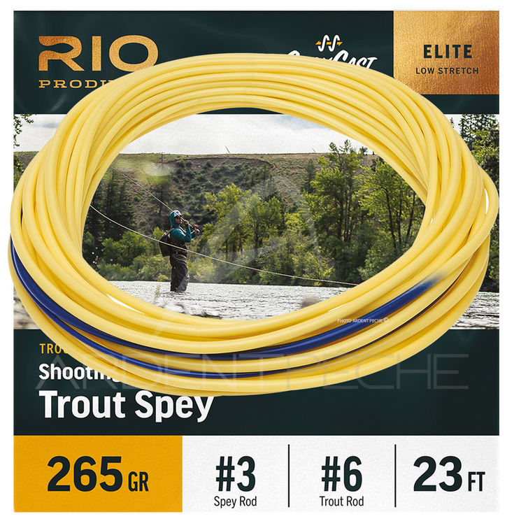 Soie RIO ELITE Shooting Head Trout Spey