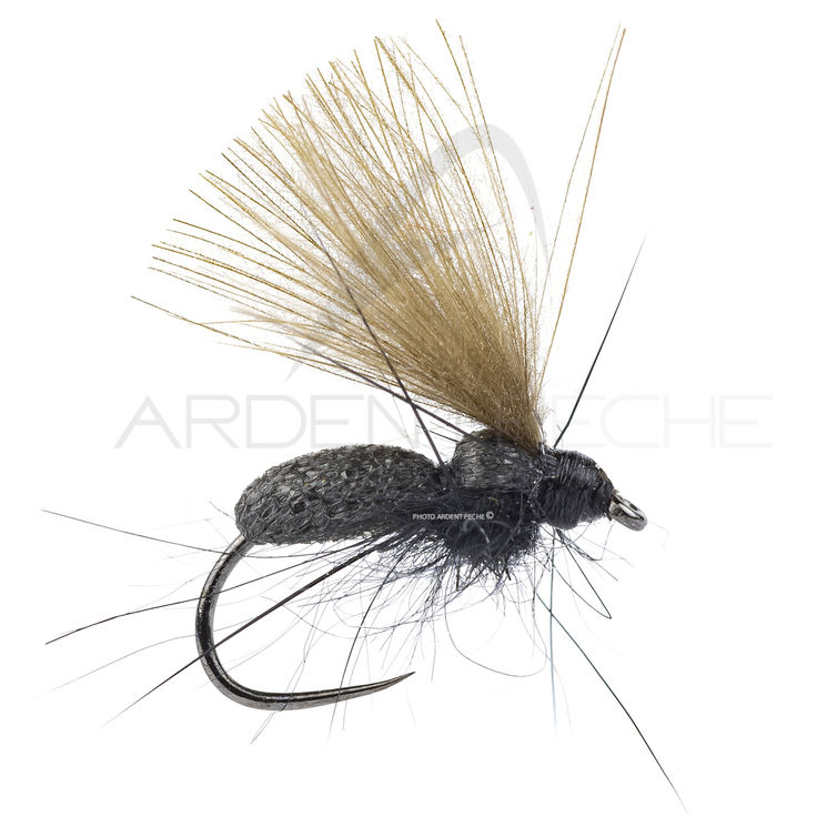 Mouche DEVAUX Terrestre fourmi JBF 03