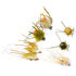 Mouche RIO assortiment Permit