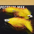 Mouche streamer STS RH Trout Orange