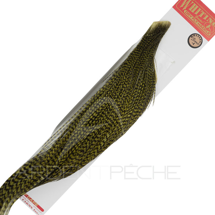 1/2 cous de coq WHITING bronze Grizzly teinté Olive foncé