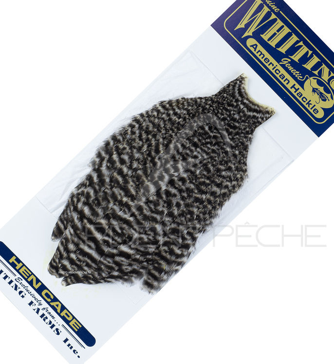 Cou de poule American Hackle grizzly