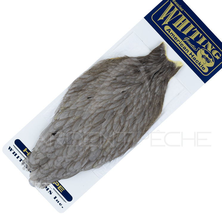 Cou de poule American Hackle gris souris