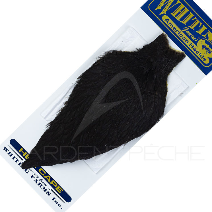 Cou de poule American Hackle noir