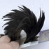 Cou de poule American Hackle noir