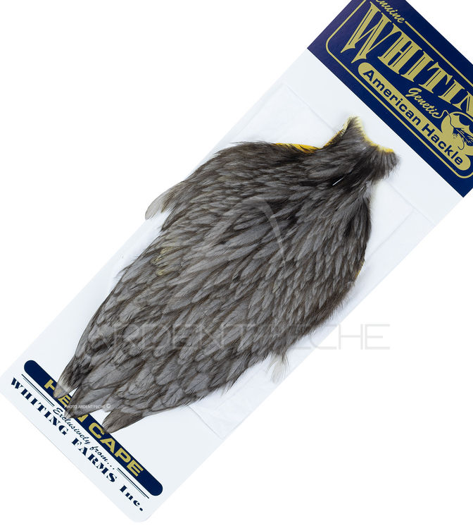 Cou de poule American Hackle gris foncé