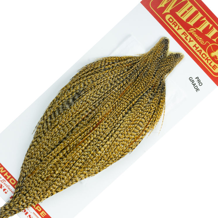 Cous de coq WHITING Pro grade Cree