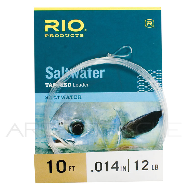 Bas de ligne RIO Saltwater 10´ (3m)